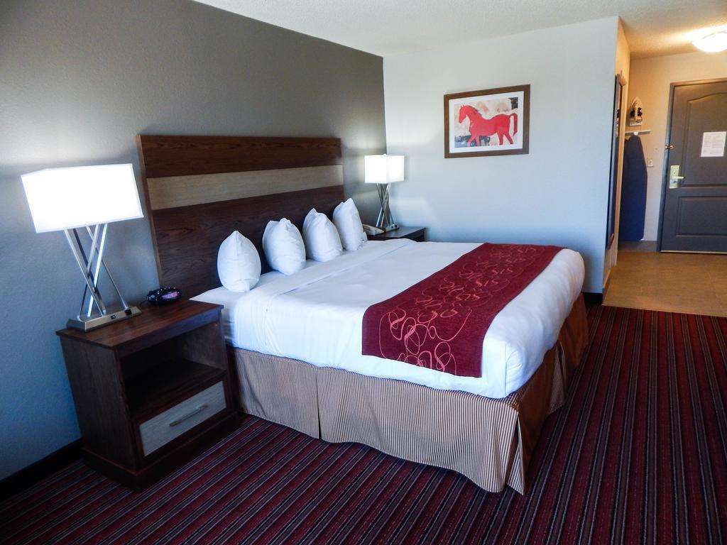 Country Inn & Suites By Radisson, Dfw Airport South, Tx Irving Eksteriør billede